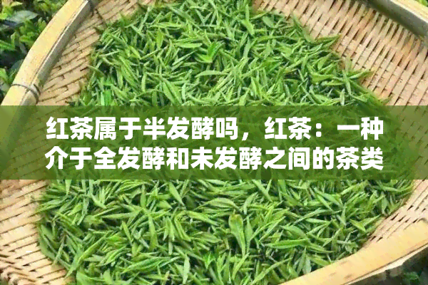 红茶属于半发酵吗，红茶：一种介于全发酵和未发酵之间的茶类