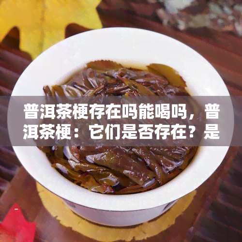 普洱茶梗存在吗能喝吗，普洱茶梗：它们是否存在？是否可以饮用？