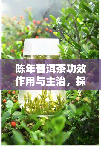 陈年普洱茶功效作用与主治，探秘陈年普洱茶的神奇功效和主要治疗作用