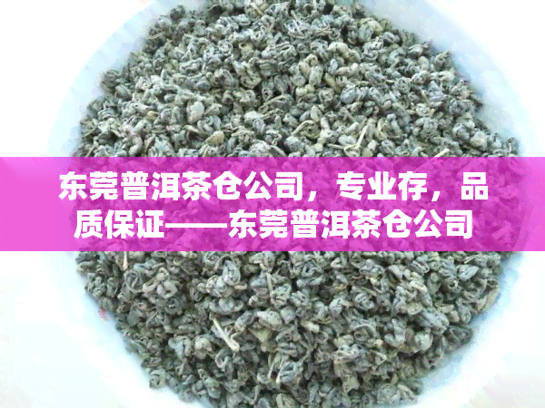 东莞普洱茶仓公司，专业存，品质保证——东莞普洱茶仓公司