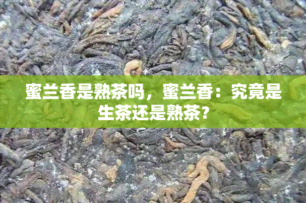 蜜兰香是熟茶吗，蜜兰香：究竟是生茶还是熟茶？