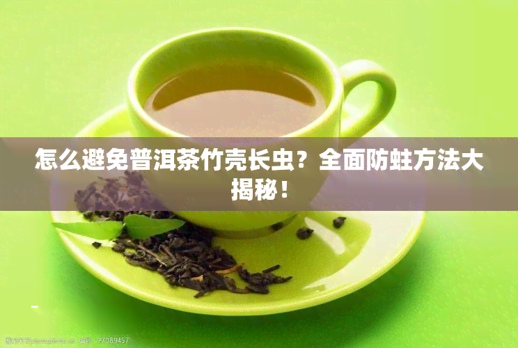 怎么避免普洱茶竹壳长虫？全面防蛀方法大揭秘！