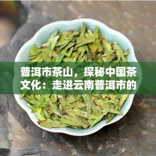 普洱市茶山，探秘中国茶文化：走进云南普洱市的茶山世界