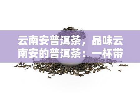 云南安普洱茶，品味云南安的普洱茶：一杯带你穿越时空的味道之旅