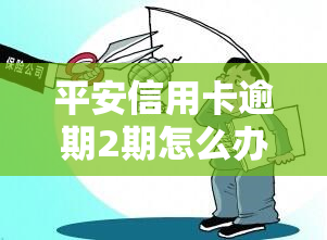 平安信用卡逾期2期怎么办，平安信用卡逾期2期的应对策略