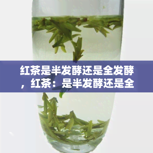 红茶是半发酵还是全发酵，红茶：是半发酵还是全发酵？