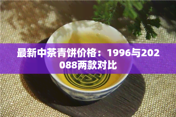 最新中茶青饼价格：1996与202088两款对比