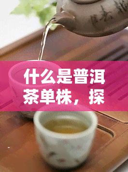 什么是普洱茶单株，探秘普洱茶：什么是单株？