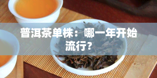 普洱茶单株：哪一年开始流行？