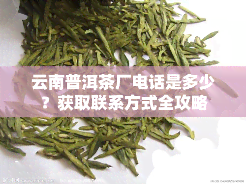 云南普洱茶厂电话是多少？获取联系方式全攻略