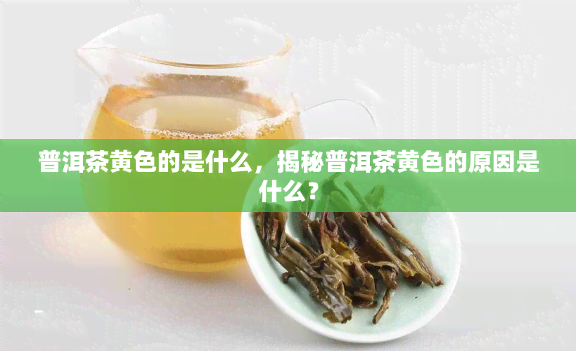 普洱茶黄色的是什么，揭秘普洱茶黄色的原因是什么？