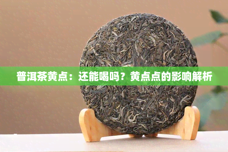 普洱茶黄点：还能喝吗？黄点点的影响解析