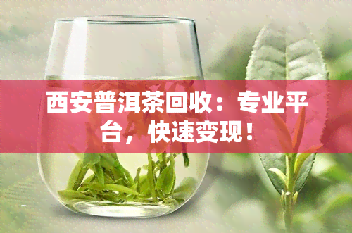 西安普洱茶回收：专业平台，快速变现！