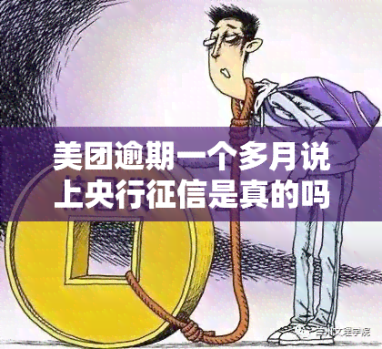 美团逾期一个多月说上央行是真的吗，美团逾期一个月，真的会上央行吗？