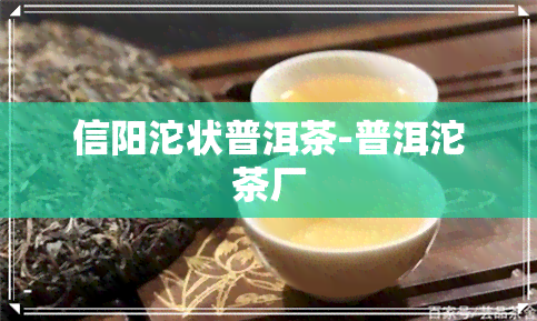 信阳沱状普洱茶-普洱沱茶厂