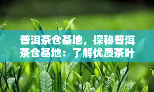 普洱茶仓基地，探秘普洱茶仓基地：了解优质茶叶的存环境与工艺