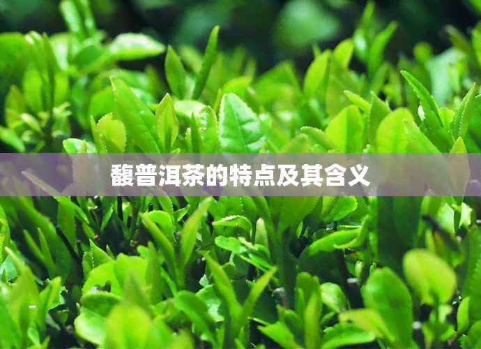 馥普洱茶的特点及其含义