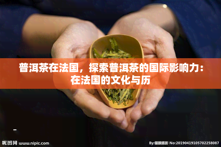 普洱茶在法国，探索普洱茶的国际影响力：在法国的文化与历