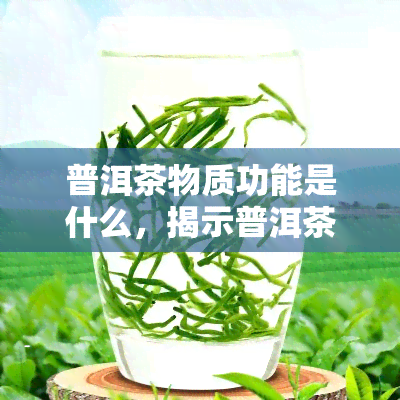 普洱茶物质功能是什么，揭示普洱茶的神秘物质功能