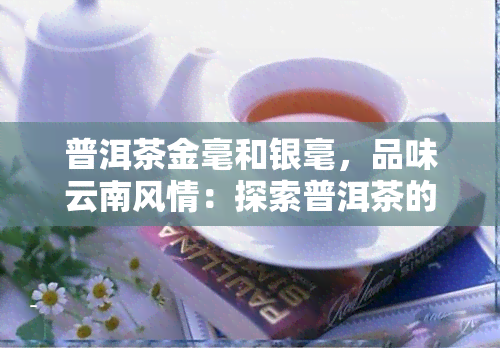 普洱茶金毫和银毫，品味云南风情：探索普洱茶的金毫与银毫之美