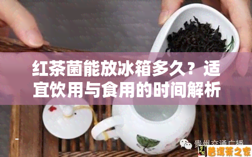 红茶菌能放冰箱多久？适宜饮用与食用的时间解析