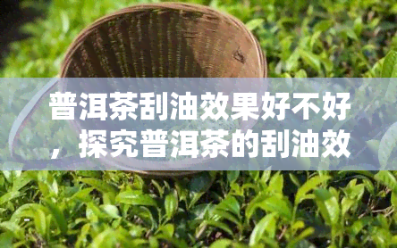 普洱茶刮油效果好不好，探究普洱茶的刮油效果：真相大揭秘！