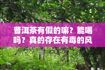 普洱茶有假的嘛？能喝吗？真的存在有的风险吗？——知乎上的讨论