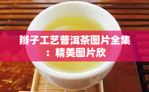 辫子工艺普洱茶图片全集：精美图片欣