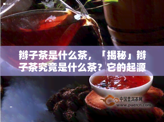 辫子茶是什么茶，「揭秘」辫子茶究竟是什么茶？它的起源、特点和冲泡方法