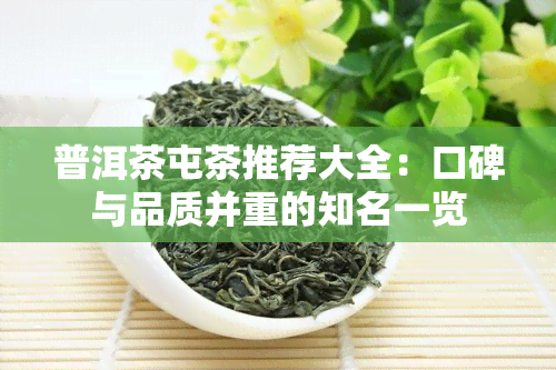 普洱茶屯茶推荐大全：口碑与品质并重的知名一览