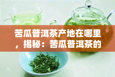 苦瓜普洱茶产地在哪里，揭秘：苦瓜普洱茶的原产地在哪里？