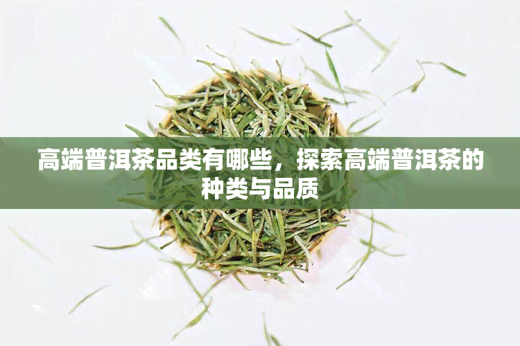 高端普洱茶品类有哪些，探索高端普洱茶的种类与品质