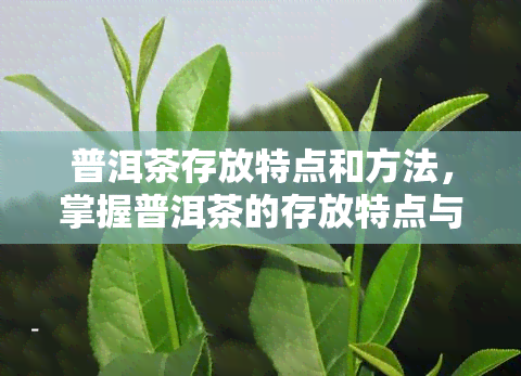 普洱茶存放特点和方法，掌握普洱茶的存放特点与方法，让陈年老茶焕发新生命！