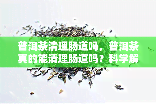 普洱茶清理肠道吗，普洱茶真的能清理肠道吗？科学解析普洱茶的健功效