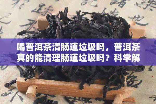 喝普洱茶清肠道垃圾吗，普洱茶真的能清理肠道垃圾吗？科学解析！