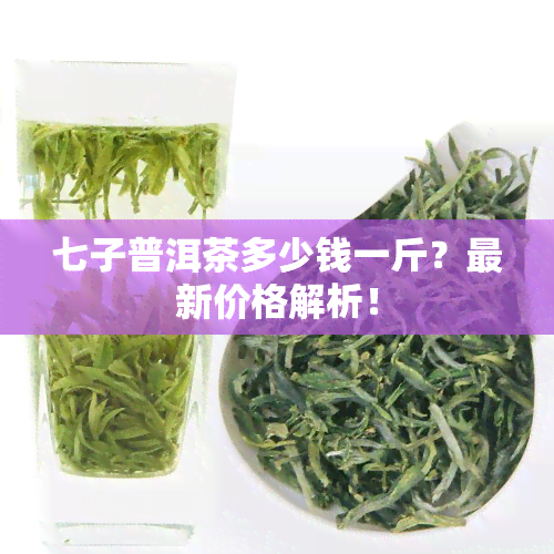 七子普洱茶多少钱一斤？最新价格解析！