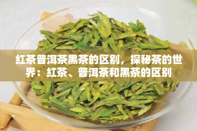 红茶普洱茶黑茶的区别，探秘茶的世界：红茶、普洱茶和黑茶的区别