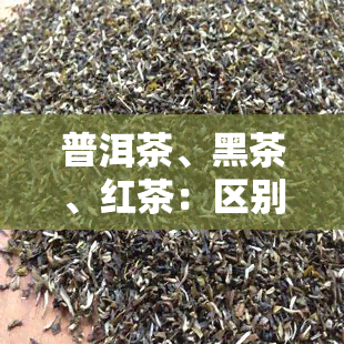 普洱茶、黑茶、红茶：区别与口感比较