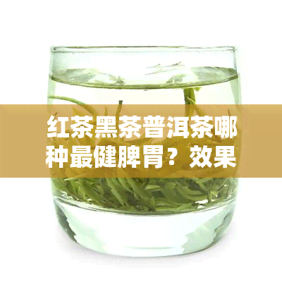 红茶黑茶普洱茶哪种最健脾胃？效果对比与身体益处解析