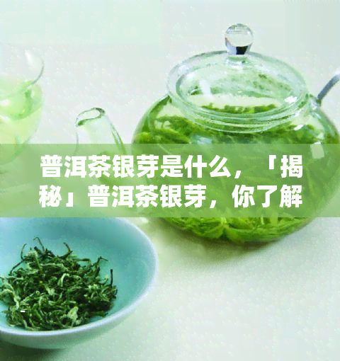 普洱茶银芽是什么，「揭秘」普洱茶银芽，你了解多少？