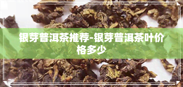 银芽普洱茶推荐-银芽普洱茶叶价格多少