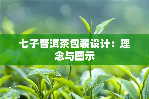 七子普洱茶包装设计：理念与图示