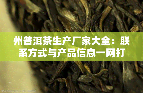 州普洱茶生产厂家大全：联系方式与产品信息一网打尽