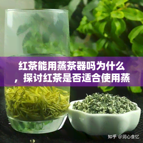 红茶能用蒸茶器吗为什么，探讨红茶是否适合使用蒸茶器，原因何在？