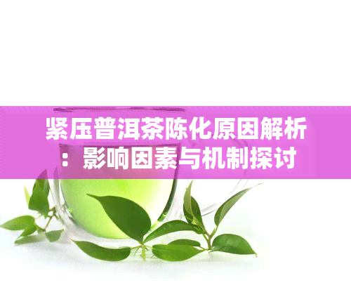 紧压普洱茶陈化原因解析：影响因素与机制探讨