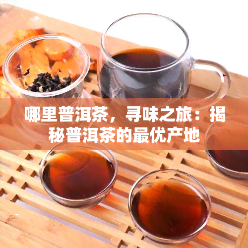 哪里普洱茶，寻味之旅：揭秘普洱茶的更优产地