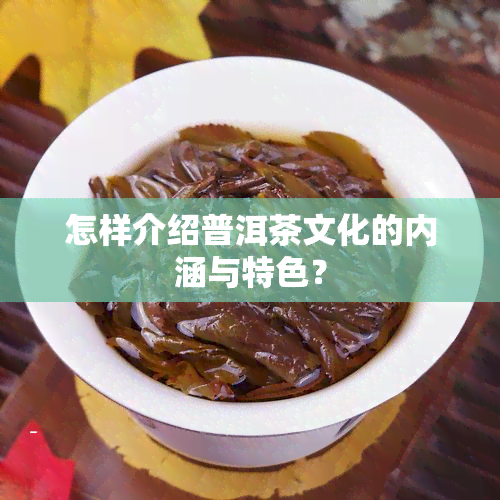 怎样介绍普洱茶文化的内涵与特色？