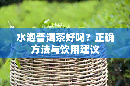 水泡普洱茶好吗？正确方法与饮用建议