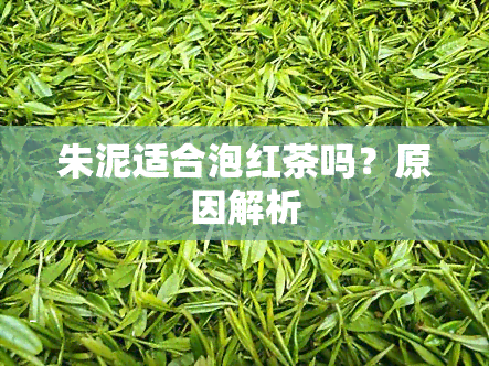 朱泥适合泡红茶吗？原因解析