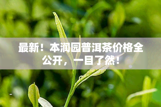 最新！本润园普洱茶价格全公开，一目了然！